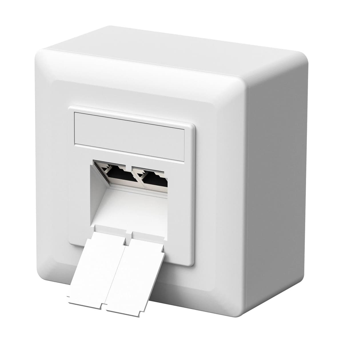 FGB CAT6a priză rețea universală, 2 porturi, RJ45, ecranată, perete/încastrată, 10 Gigabit Ethernet - alb